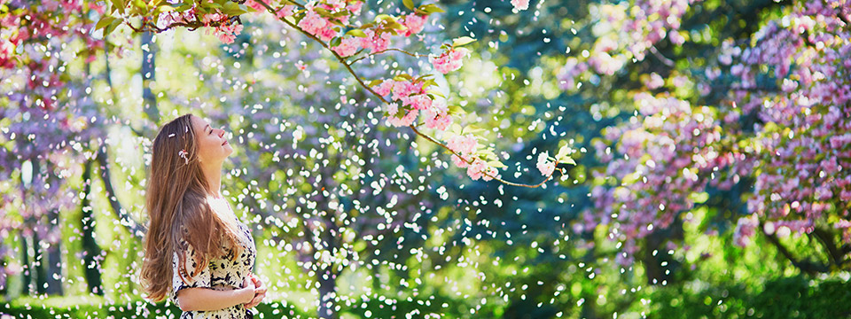 Photo of a beautiful girl standing in a cherry blossom garden on a spring day with flower petals falling from the trees.