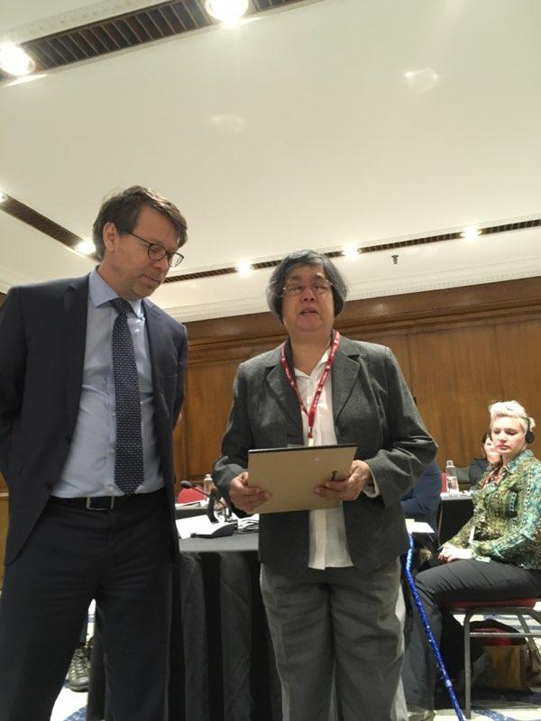 Advisory Group for Disability Issues Meeting Picture. November 20th 2018. S. Perrault and D. Jodhan Speaking.