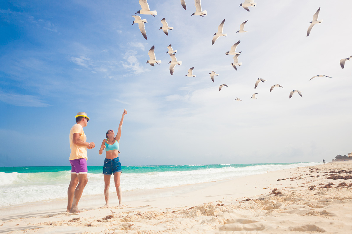 Sunny day. A woman stands next to a man on the beach pointing at a flock of sea gulls circling overhead.
