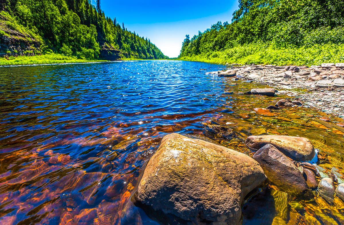 Photo of a beautiful forest river and surrounding landscape.