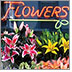 Photo of the front of a Flower Shop with the word 'Flowers' in neon in the window lit up just above rows and rows of flower arrangements.