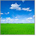 A lush green grass field gives way to beautiful blue skies and white clouds.